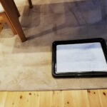 大型犬のトイレはどうする？ 犬を家に迎えたらやるべきこと